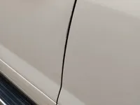 Front left door