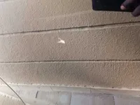 الباب الأمامى الأيمن