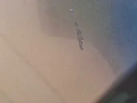 الرفرف الجانبى الأيمن