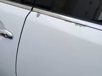 Rear left door