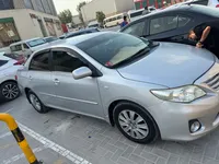 More images