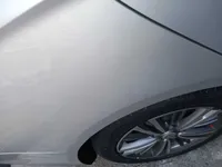 Rear left door