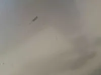 الباب الخلفى الأيمن
