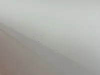 الباب الخلفى الأيمن