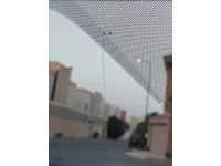 Windshield