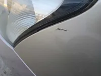 الباب الخلفى الأيسر