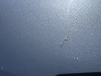 الباب الخلفى الأيمن