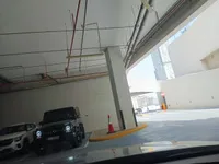 Windshield