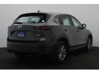 More images