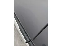 Rear left door