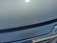 Bonnet