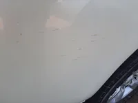 الباب الخلفى الأيسر