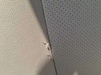 مخدوش / فيه صدمة