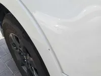 Front left door