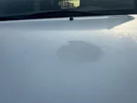 Bonnet