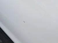 Left Fender
