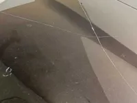 غطاء المحرك (الكبوت)