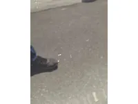الباب الأمامى الأيسر