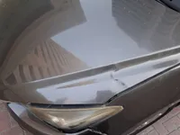 Bonnet