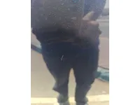 الباب الخلفى الأيسر