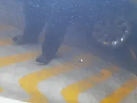 الباب الخلفى الأيسر