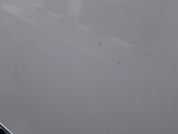 الباب الأمامى الأيسر