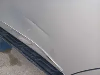 Rear left door