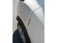 Left Fender