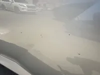 الباب الخلفى الأيسر