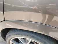 Rear left door