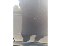 Left quarter panel