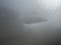 Front right door
