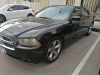More images