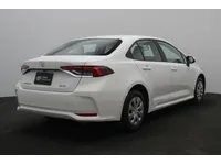 More images