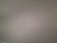 مخدوش / فيه صدمة