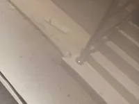 الباب الخلفى الأيسر
