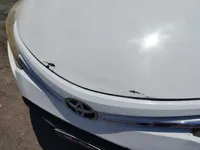 Bonnet