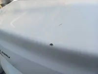 الباب الخلفى الأيسر