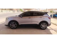 Rear left door