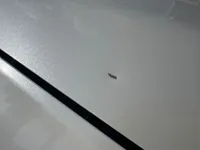 غطاء المحرك (الكبوت)
