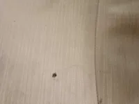 مخدوش / فيه صدمة