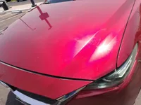 Bonnet