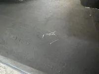 الباب الخلفى الأيسر