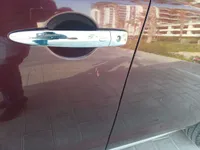 Rear left door