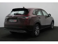 More images