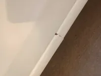 الباب الأمامى الأيسر