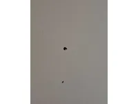 غطاء المحرك (الكبوت)