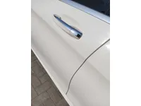 Rear left door