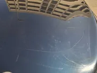 Bonnet