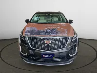 More images